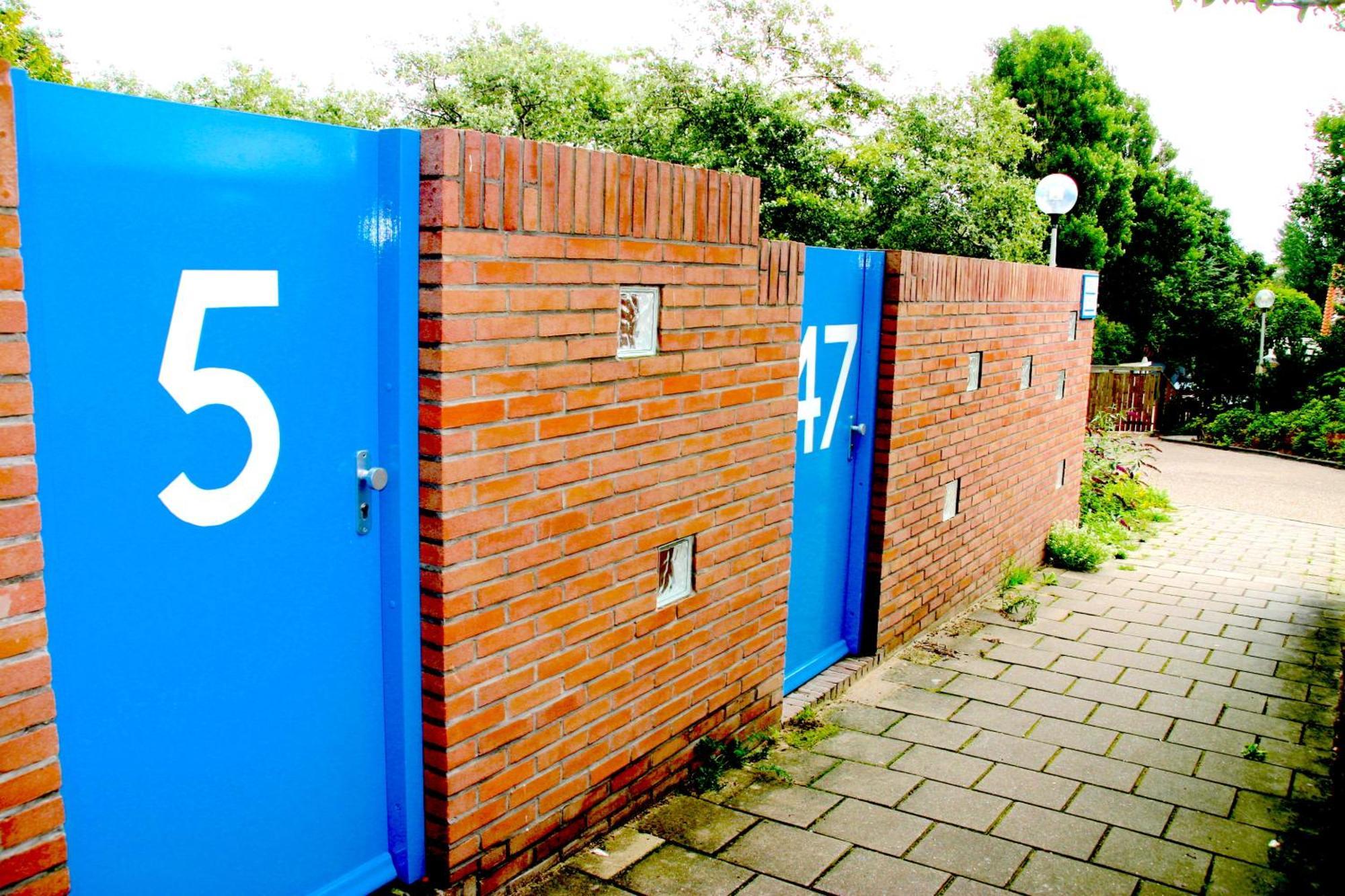 Schelp 47